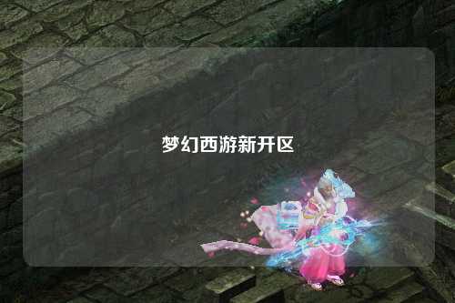 夢幻西游新開區