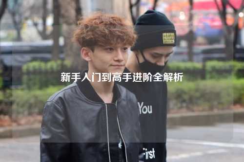 新手入門到高手進階全解析