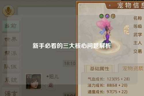 新手必看的三大核心問題解析