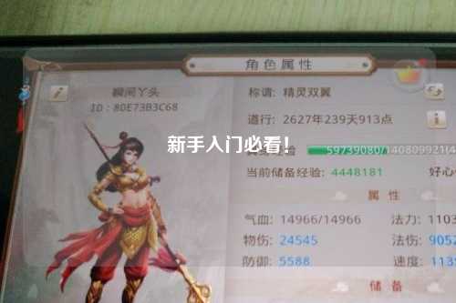 新手入門必看！