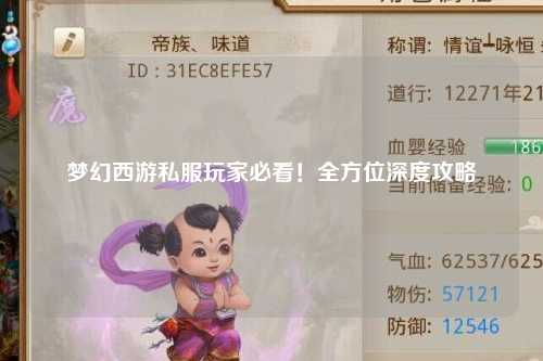 夢幻西游私服玩家必看！全方位深度攻略