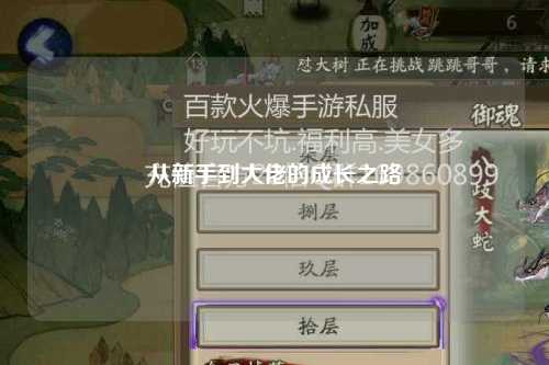 從新手到大佬的成長之路