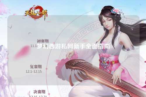 夢幻西游私網新手全面指南