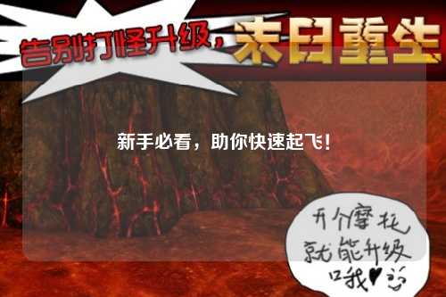 新手必看，助你快速起飛！