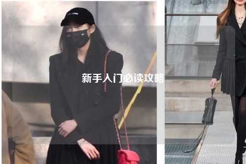 新手入門必讀攻略