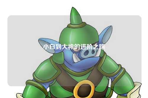 小白到大神的進階之路