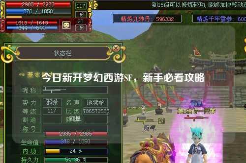 今日新開夢幻西游SF，新手必看攻略