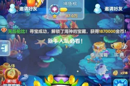 新手入坑必看！