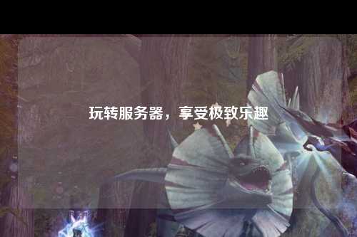 玩轉服務器，享受極致樂趣