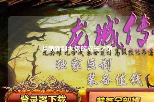 從萌新到大佬的成長之路