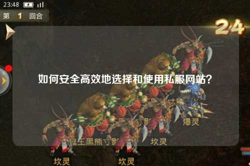 如何安全高效地選擇和使用私服網站？