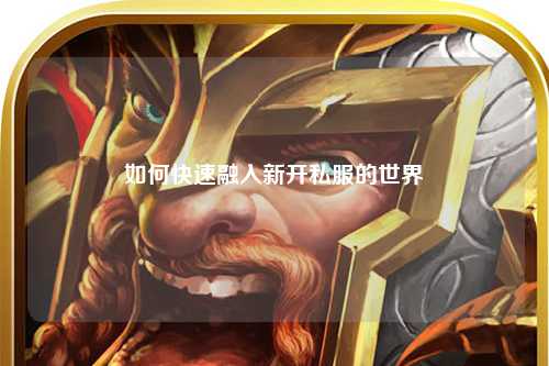 如何快速融入新開私服的世界