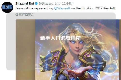 新手入門必看指南