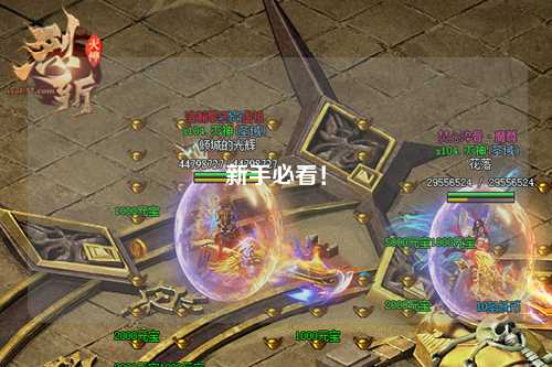 新手必看！