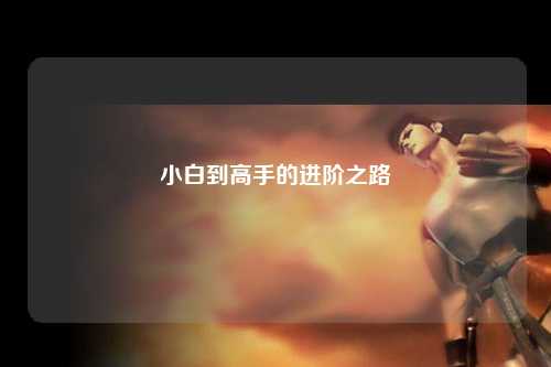 小白到高手的進階之路