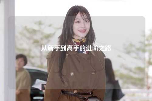 從新手到高手的進階之路