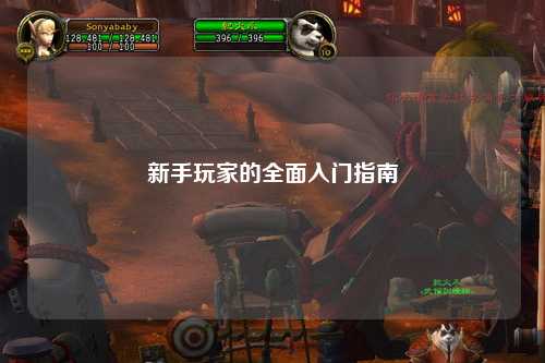 新手玩家的全面入門指南