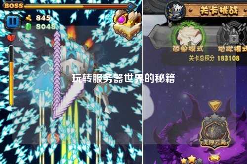 玩轉服務器世界的秘籍