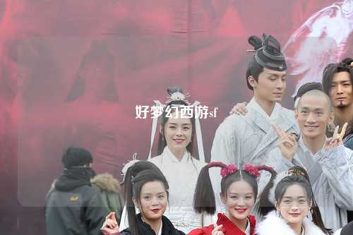 好夢幻西游sf