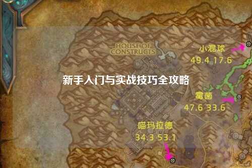 新手入門與實戰技巧全攻略